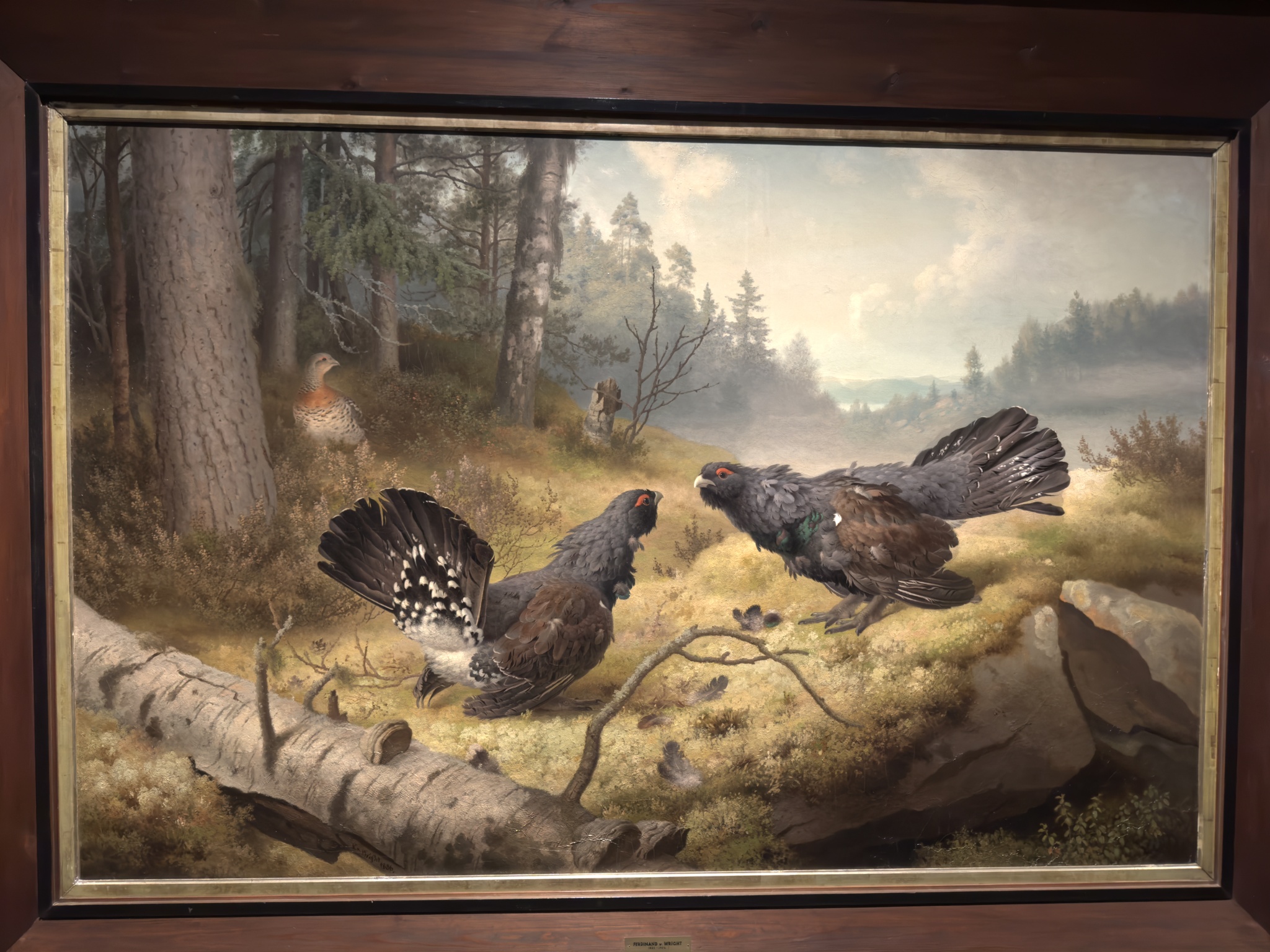 no alt text available