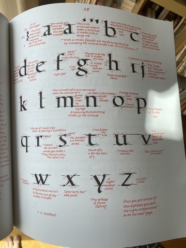 no alt text available