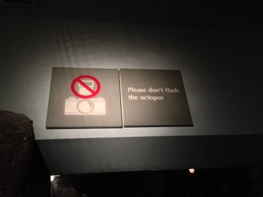 no alt text available