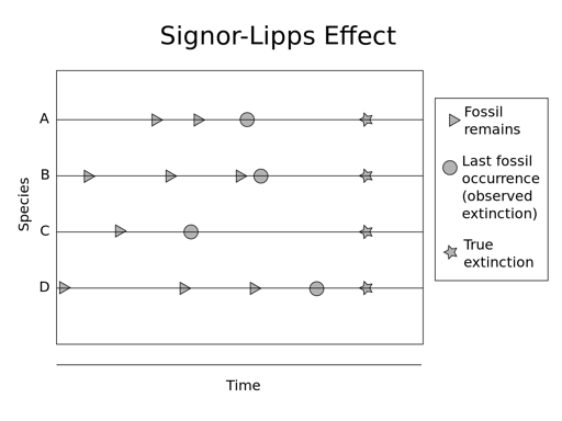 no alt text available